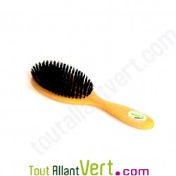 Brosse cheveux ovale plate en bois, poils naturel de sanglier