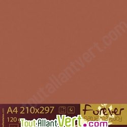 Papier couleur recycl�e A4 Forever Marron Tabac 160g