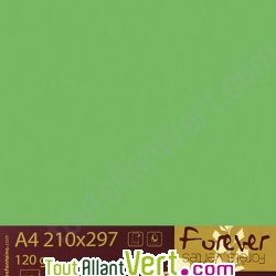 Papier couleur recycl�e A4 Forever Vert Mousse 160g