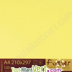 Papier couleur recycl�e A4 Forever Citron 160g