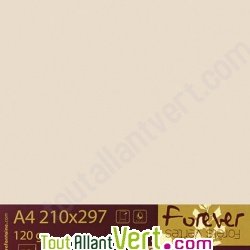 Papier couleur recycl�e A4 Forever Ivoire 160g