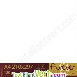 Papier Blanc recycl�e A4 Forever 160g, lot de 50
