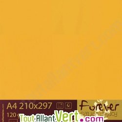 Papier couleur recycl�e A4 Forever Orange Abricot 160g