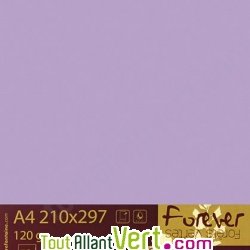 Papier couleur recycl�e A4 Forever Lilas 160g
