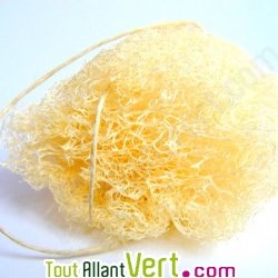 Eponge en luffa naturel pour le corps, 12x8 cm