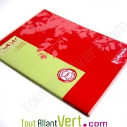 Cahier recycl� Grands Carreaux A4 96p Rouge Forever