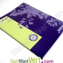 Cahier recycl 24x32cm Grand carreaux 96p Bleu Forever