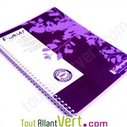 Cahier � spirale recycl� petits carreaux A4 96p Violet Forever