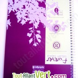 Cahier � spirale recycl� petits carreaux A4 96p Violet Forever