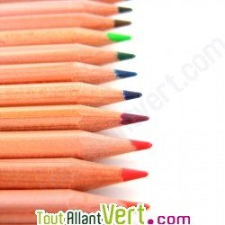 Boite de 12 crayons de couleurs bois certifi�