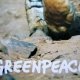 Bloc A5 quadrill� en papier recycl� Greenpeace 50 feuilles
