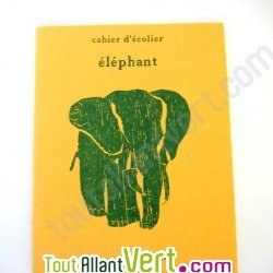 Cahier colier 17x22cm, 96p Grand carreaux Elphant