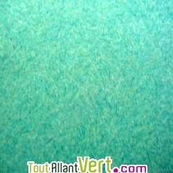Enveloppes recycl�es rustiques Vert, lot 25