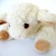 Agneau laine bouillotte 24 cm avec noyaux de cerises