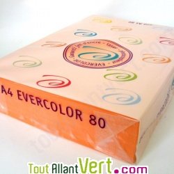 Papier A4 Evercolor 80g/m2 Couleur Saumon, 500 feuilles