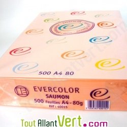 Papier A4 Evercolor 80g/m2 Couleur Saumon, 500 feuilles