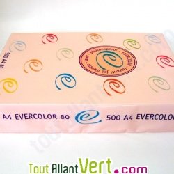 Papier A4 Evercolor 80g/m2 Couleur Saumon, 500 feuilles