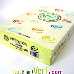 Papier A4 Evercolor 80g/m2 Couleur Canari, Bloc de 500 feuilles