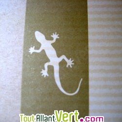 Classeur �cologique � levier 2 anneaux dos 7,5 cm