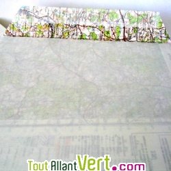 Enveloppes carte routi�re � fen�tre, 229x324, lot 25