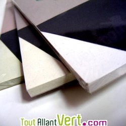 Papier recycl� aux algues de Venise, lot de 50, blanc A4