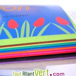 Bloc de 10 feuilles couleur A4 270g/m2