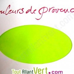 Ramette Couleurs de Provence 30 feuilles recycl�es 175g vert