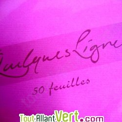 Ramette 50 feuilles kraft recycl�es 90g A4 fuchsia
