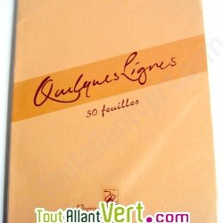 Ramette 50 feuilles kraft recycl�es 90g A4 naturel