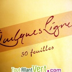 Ramette 50 feuilles kraft recycl�es 90g A4 jaune