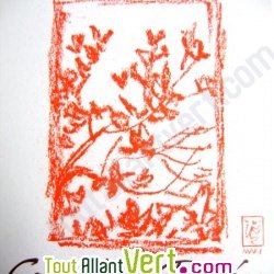 Carnet dessin blanc recycl� 40 feuilles 175g