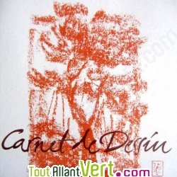 Carnet dessin blanc recycl� 40 feuilles A4