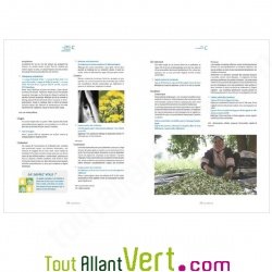 Aromatherapia, Tout sur les Huiles essentielles, Isabelle Pacchioni