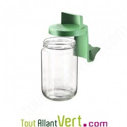 Germoir bocal en verre, Germline