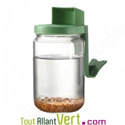 Germoir bocal en verre, Germline