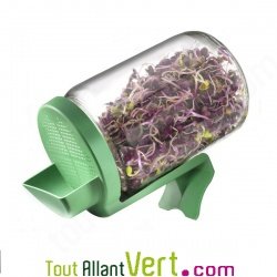 Germoir bocal en verre, Germline