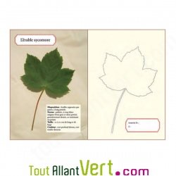 Presse � feuilles et fleurs en bois, Moulin Roty