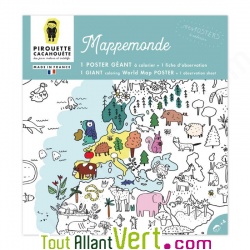 Poster gant 70 x 100 cm  colorier Mappemonde