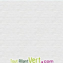 Papier � lettre aspect Conservation A4 100 feuilles 100g Blanc