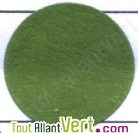 Teinture �cologique pour textiles coloration Vert des Pr�s + r�actif �ko-Tex