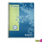 Cahier  Spirale Recycl Petits Carreaux A4 180p Bleu Forever