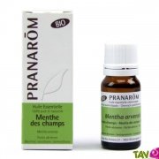 Huile essentielle Menthe des Champs Bio HECT 10ml