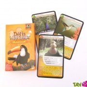 Jeu de cartes "Dfis Nature" : Les Oiseaux, 7 ans+