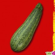 Graines bio Courgette Grisette de Provence ou Greyzini AB