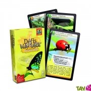 Jeu de cartes "Dfis Nature" : Les insectes, 7 ans+