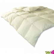 Couette t en duvet d'oie 100g/m2 et coton biologique