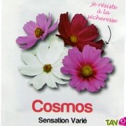 Graines bio Cosmos Sensation Vari, fleurs utiles au jardin, AB