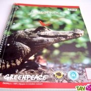 Cahier à spirale petits carreaux A4 recyclé Greenpeace crocodile