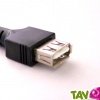 Adaptateur USB FEMELLE Entre Femelle USB A pour appareils de type USB, 4 broches dores  l'intrieur